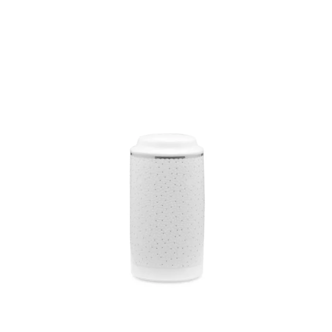 Salt Shaker Noritake